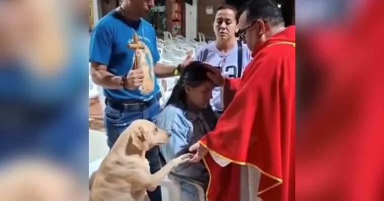 so-sweet!-a-dog-named-simon-joins-in-intercessory-prayers-at-a-catholic-church-–-and-there’s-more-video
