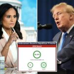 trump-calls-for-nbc’s-kristen-welker-to-face-fcc-‘rebuke-or-punishment’-after-comment-about-his-endorsement-record