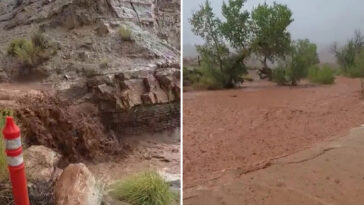 dozens-evacuated-as-flash-floods-suddenly-strike-the-grand-canyon-with-wall-of-water-wiping-out-trails