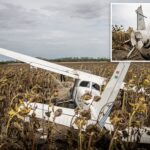 drunk-pilot-steals-plane,-flies-too-close-to-nuclear-power-plant-—-crashes-into-sunflower-field