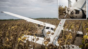 drunk-pilot-steals-plane,-flies-too-close-to-nuclear-power-plant-—-crashes-into-sunflower-field