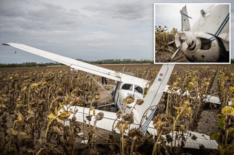 drunk-pilot-steals-plane,-flies-too-close-to-nuclear-power-plant-—-crashes-into-sunflower-field