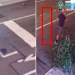 perverted-schlub-shoves-woman-onto-nyc-sidewalk-in-horrifying-sex-attack:-cops