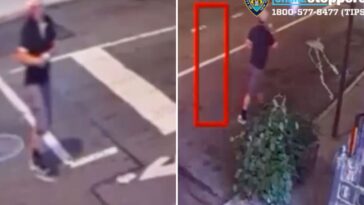 perverted-schlub-shoves-woman-onto-nyc-sidewalk-in-horrifying-sex-attack:-cops