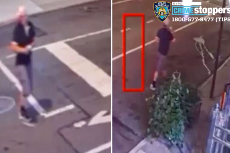 perverted-schlub-shoves-woman-onto-nyc-sidewalk-in-horrifying-sex-attack:-cops