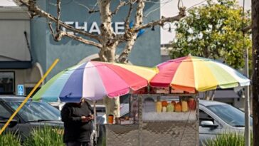 report:-officials-fielded-thousands-of-food-safety-violations-by-illegal-street-vendors-but-now-do-nothing