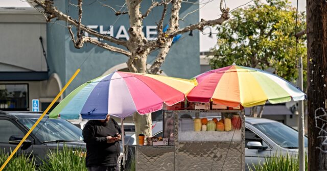 report:-officials-fielded-thousands-of-food-safety-violations-by-illegal-street-vendors-but-now-do-nothing