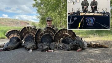hunting-addict-ordered-to-shoot-tiktok-apology-as-poaching-probe-finds-115-lbs-of-illegal-turkey-meat