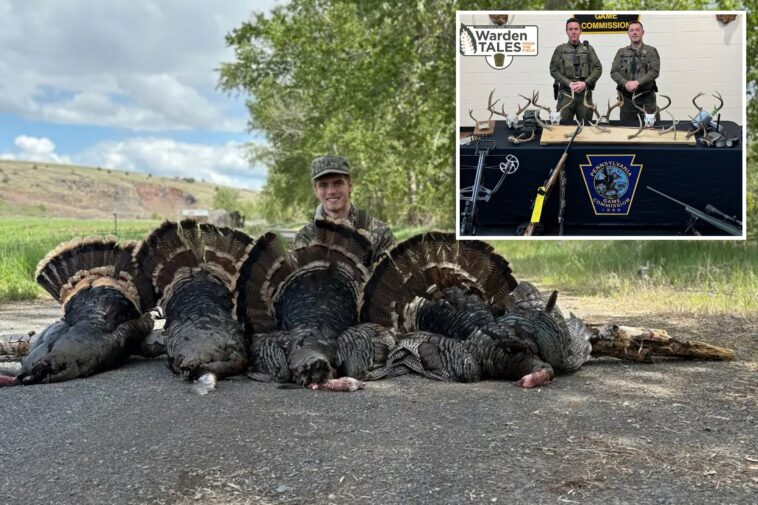 hunting-addict-ordered-to-shoot-tiktok-apology-as-poaching-probe-finds-115-lbs-of-illegal-turkey-meat