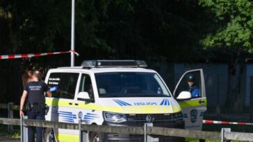 one-dead,-five-wounded-in-shooting-at-rave-in-switzerland