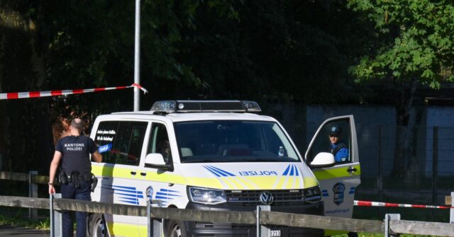 one-dead,-five-wounded-in-shooting-at-rave-in-switzerland