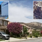 simi-valley-residents-erupt-as-rotting-boyle-heights-warehouse-fire-food-is-dumped-nearby
