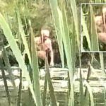 ny-bigfoot-sighting-of-‘syracuse-figure’-may-have-gross-nsfw-explanation:-‘inhuman’