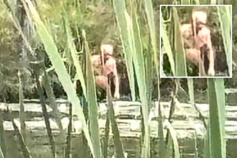 ny-bigfoot-sighting-of-‘syracuse-figure’-may-have-gross-nsfw-explanation:-‘inhuman’