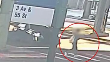 nyc-nurse-still-wearing-scrubs-killed-in-caught-on-camera-hit-and-run-crash