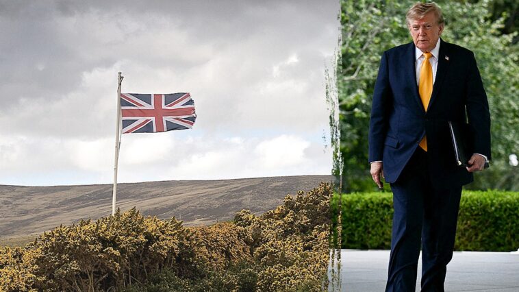 ex-pentagon-official-urges-us-to-‘squeeze’-uk-on-defense-amid-falklands-furor