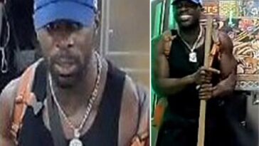 smiling-nut-whacks-straphanger-with-gardening-tool-on-nyc-subway