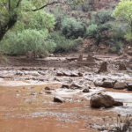 urgent-search-underway-for-more-than-a-dozen-people-after-grand-canyon-flash-flood