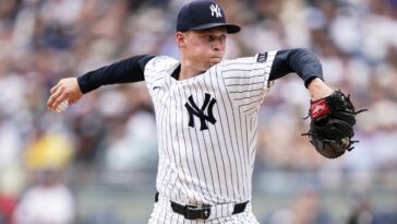 the-yankees-needed-will-warren-sunday-—-and-he-delivered