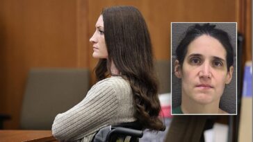accused-nc-killer-mom-plans-insanity-defense-—-as-retired-judge-says-more-may-follow-lindsay-clancy-strategy