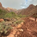 deadly-grand-canyon-flooding-knocks-out-critical-water-line-amid-race-to-find-missing-hikers