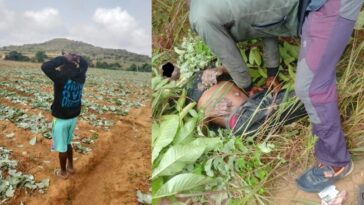 fulani-roadside-ambushes-and-farm-destruction-continue-amid-nigeria’s-christian-persecution