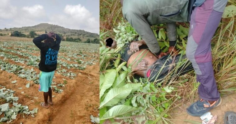 fulani-roadside-ambushes-and-farm-destruction-continue-amid-nigeria’s-christian-persecution