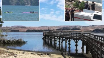 friends-mysteriously-found-dead-after-midnight-canoeing-trip-to-remote-california-island