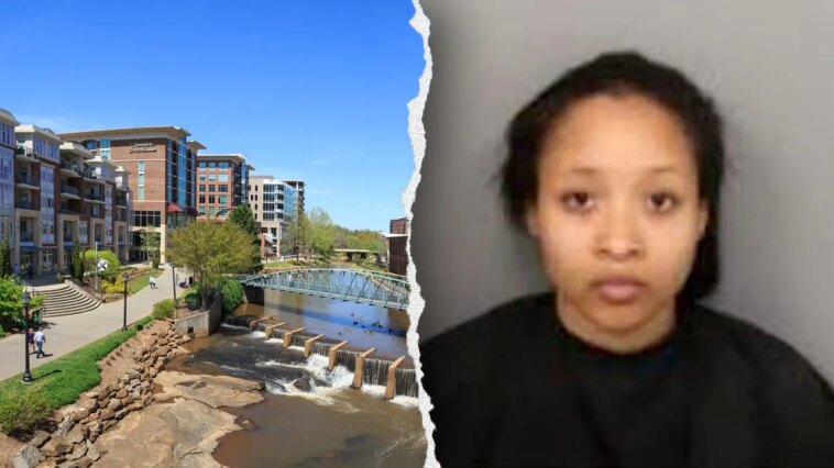south-carolina-woman-accused-of-stabbing-lyft-driver-11-times-claims-mental-health-crisis