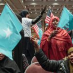 more-than-half-of-immigrant-led-households-receive-some-type-of-welfare-benefit