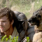 nolte:-‘dog-stars’-is-latest-expensive-flop-for-disney-grooming-syndicate