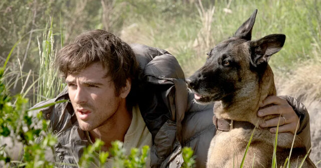 nolte:-‘dog-stars’-is-latest-expensive-flop-for-disney-grooming-syndicate