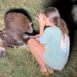 georgia-cop-kills-beloved-pet-donkey-in-his-own-pasture-as-heartbroken-owner-demands-justice:-‘we-miss-him’