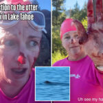 swimmer-mauled-in-vicious-attack-by-‘ruthless’-river-otter:-‘it-just-kept-coming’