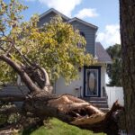 gary,-indiana-can’t-blame-racism-for-every-failure-exposed-by-its-catastrophic-blackout