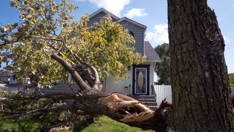 gary,-indiana-can’t-blame-racism-for-every-failure-exposed-by-its-catastrophic-blackout