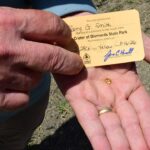 grandfather-finds-hidden-treasure-in-plain-sight-as-park-officials-‘dumbfounded’-by-discovery