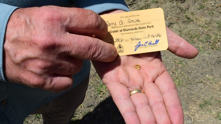 grandfather-finds-hidden-treasure-in-plain-sight-as-park-officials-‘dumbfounded’-by-discovery