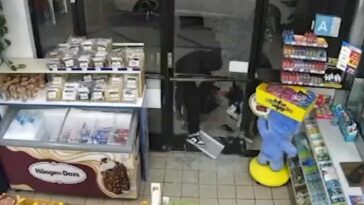 terrifying-moment-masked-thugs-ransack-store-in-yet-another-vile-attack-in-california