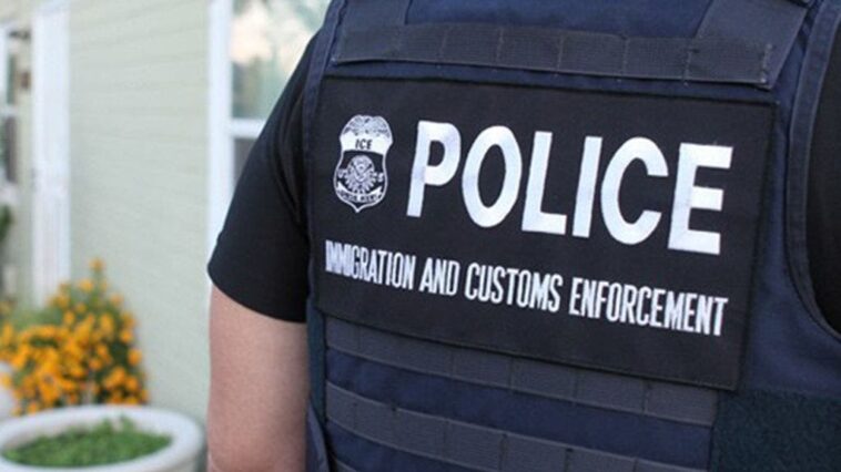 suspect-in-custody-for-strangling-massachusetts-woman-to-death-in-her-home-is-brazilian-illegal-immigrant