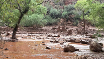 video-—-grand-canyon:-two-people-dead,-15-missing-amid-severe-flash-flooding