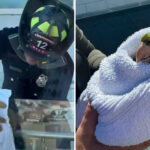 exotic-bird-gets-high-flying-rescue-from-sf-balcony-—-as-parrots-flock-to-celebrate
