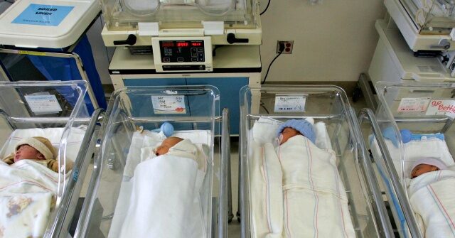 expert-testimony:-up-to-300k-babies-born-to-foreign-tourists-in-us.-over-last-decade
