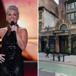 singer-pink-faces-threat-from-nutjob-in-deranged-email-sent-to-nyc-hotel:-sources