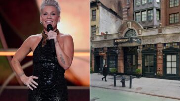 singer-pink-faces-threat-from-nutjob-in-deranged-email-sent-to-nyc-hotel:-sources