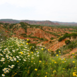 best-hikes-to-try-around-lubbock-ahead-of-texas-tech’s-week-one-matchup-with-abilene-christian