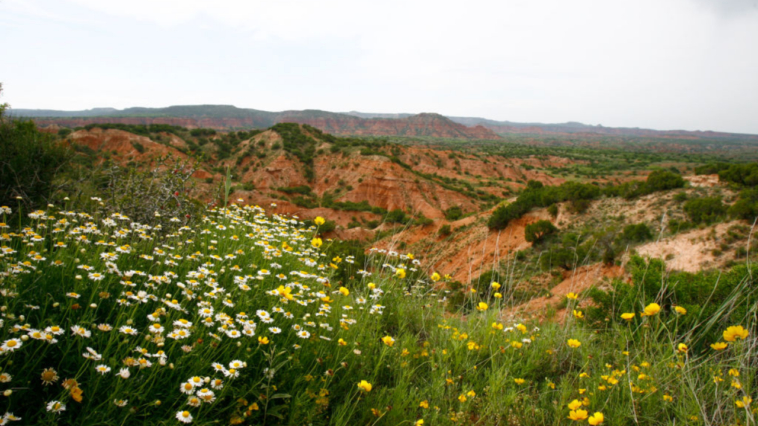 best-hikes-to-try-around-lubbock-ahead-of-texas-tech’s-week-one-matchup-with-abilene-christian
