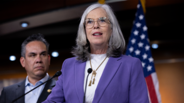 top-democrat-survives-double-barreled-challenge-as-party’s-israel-divide-hits-home