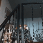 washington-homeowner-hears-mysterious-banging,-calls-911-before-police-find-growling-bobcat-at-top-of-stairs