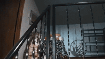 washington-homeowner-hears-mysterious-banging,-calls-911-before-police-find-growling-bobcat-at-top-of-stairs
